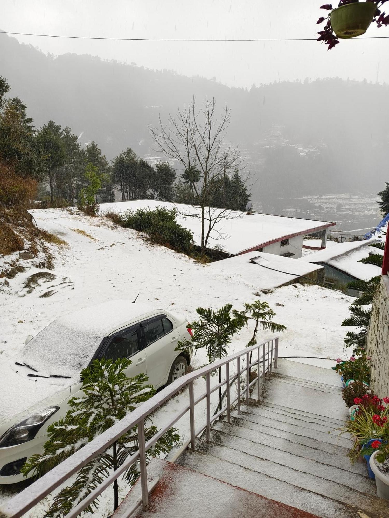 Naina Bird Cottage Nainital Exteriér fotografie