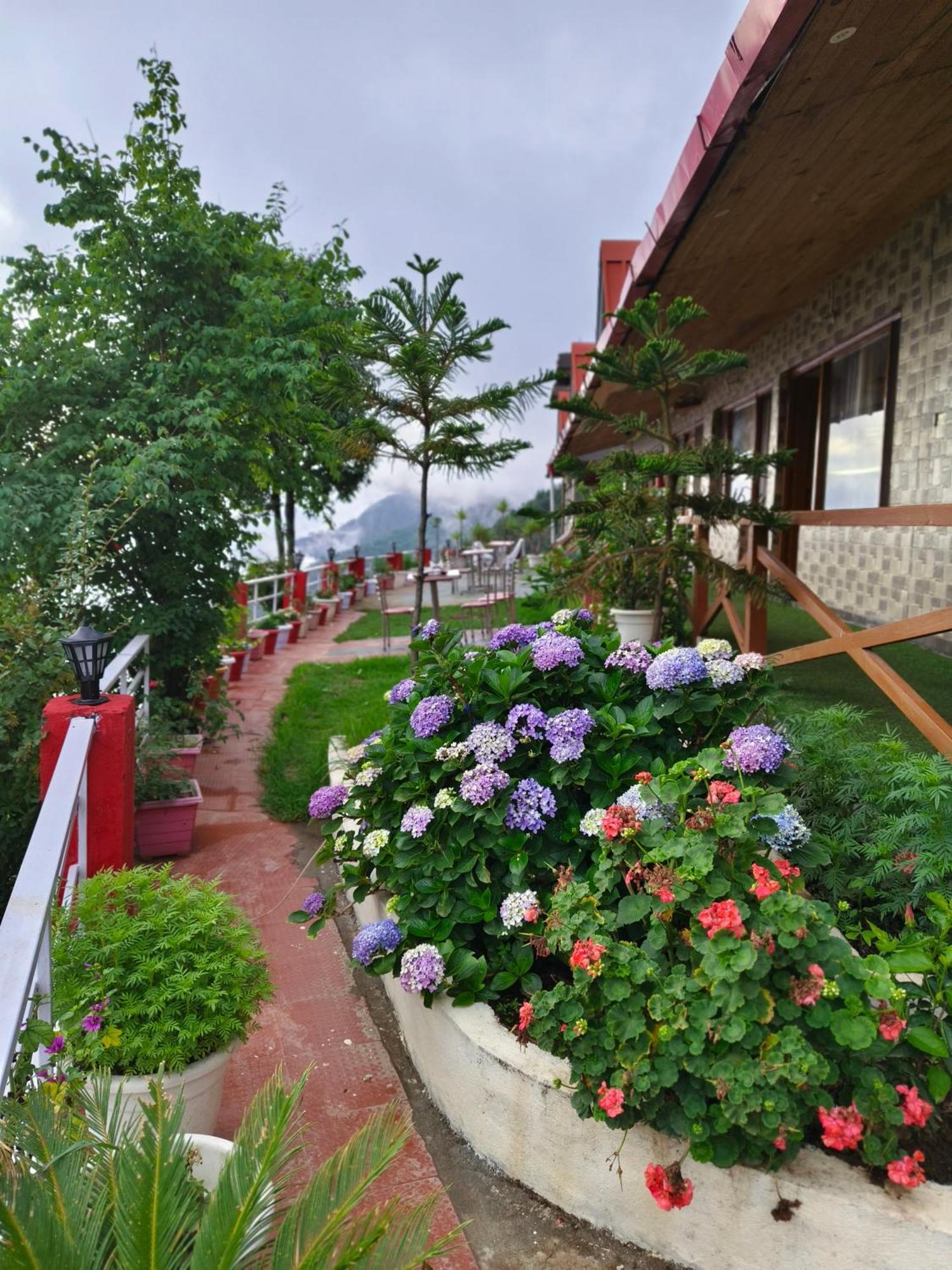 Naina Bird Cottage Nainital Exteriér fotografie