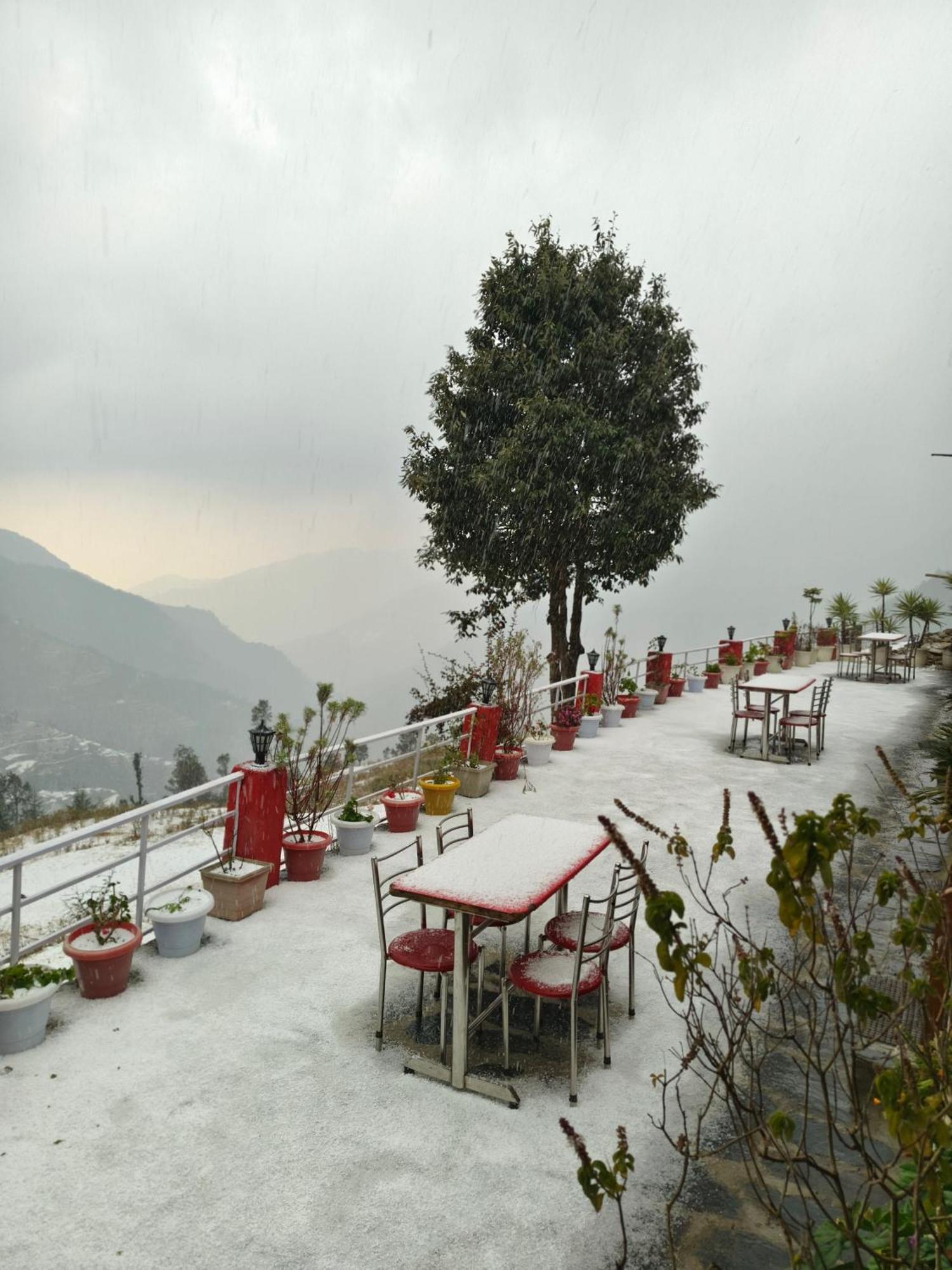 Naina Bird Cottage Nainital Exteriér fotografie