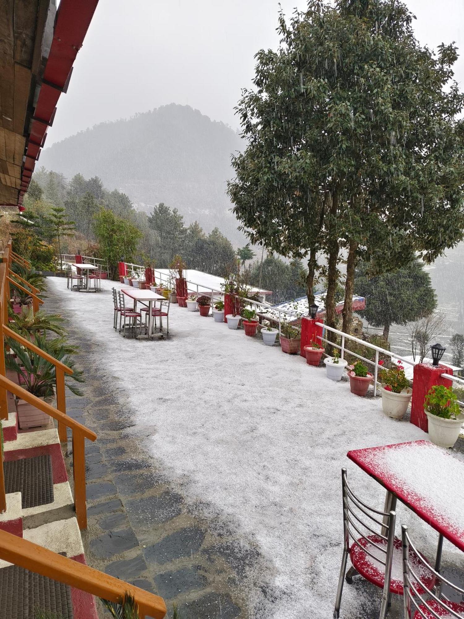 Naina Bird Cottage Nainital Exteriér fotografie